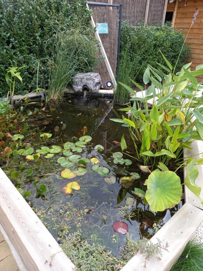 Appartement 3 Eme Etage Avec Piscine Partagee 色当 外观 照片